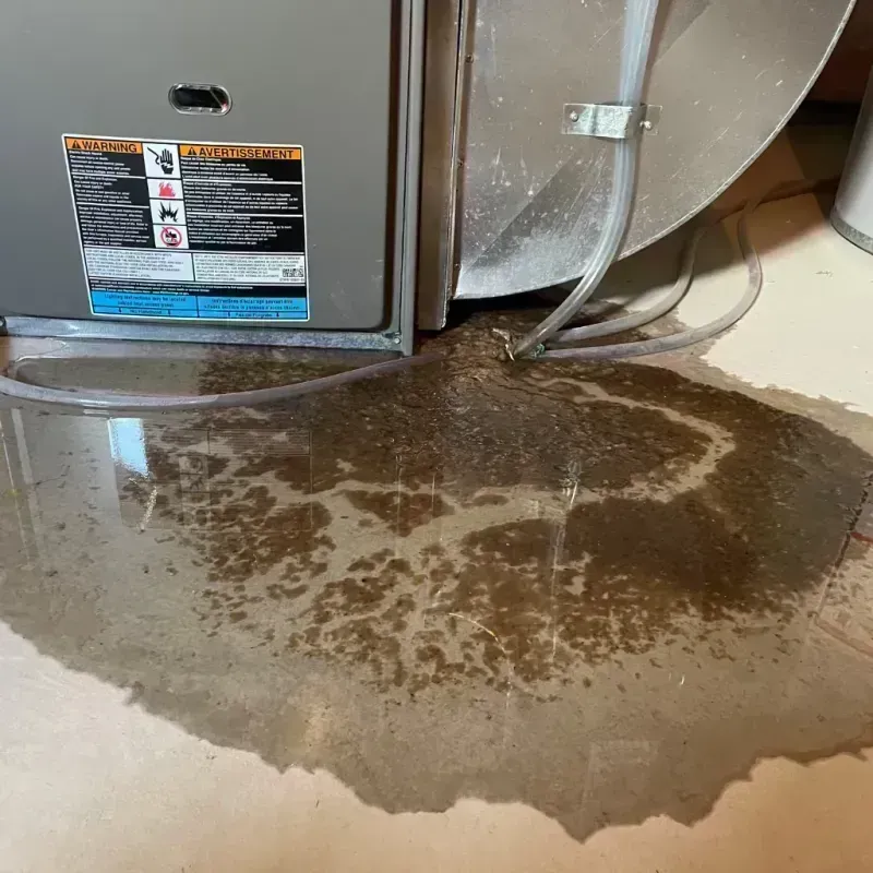 Appliance Leak Cleanup in Shiloh, IL